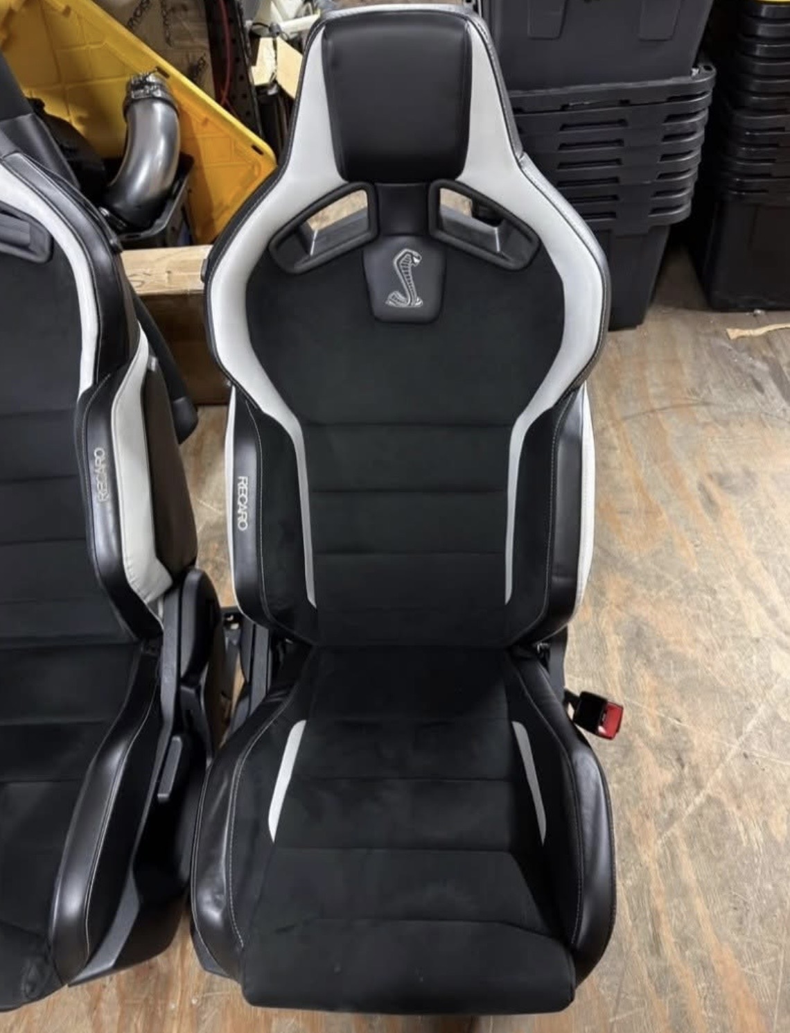 Ford Mustang Shelby GT500 Recaro Seats For Sale - Image 7